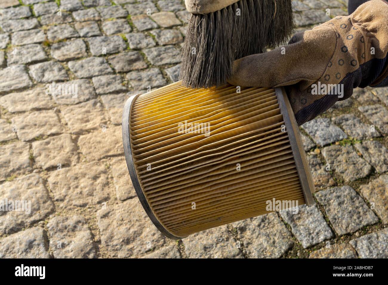 Clean the filter from the vacuum cleaner Stock Photo Alamy