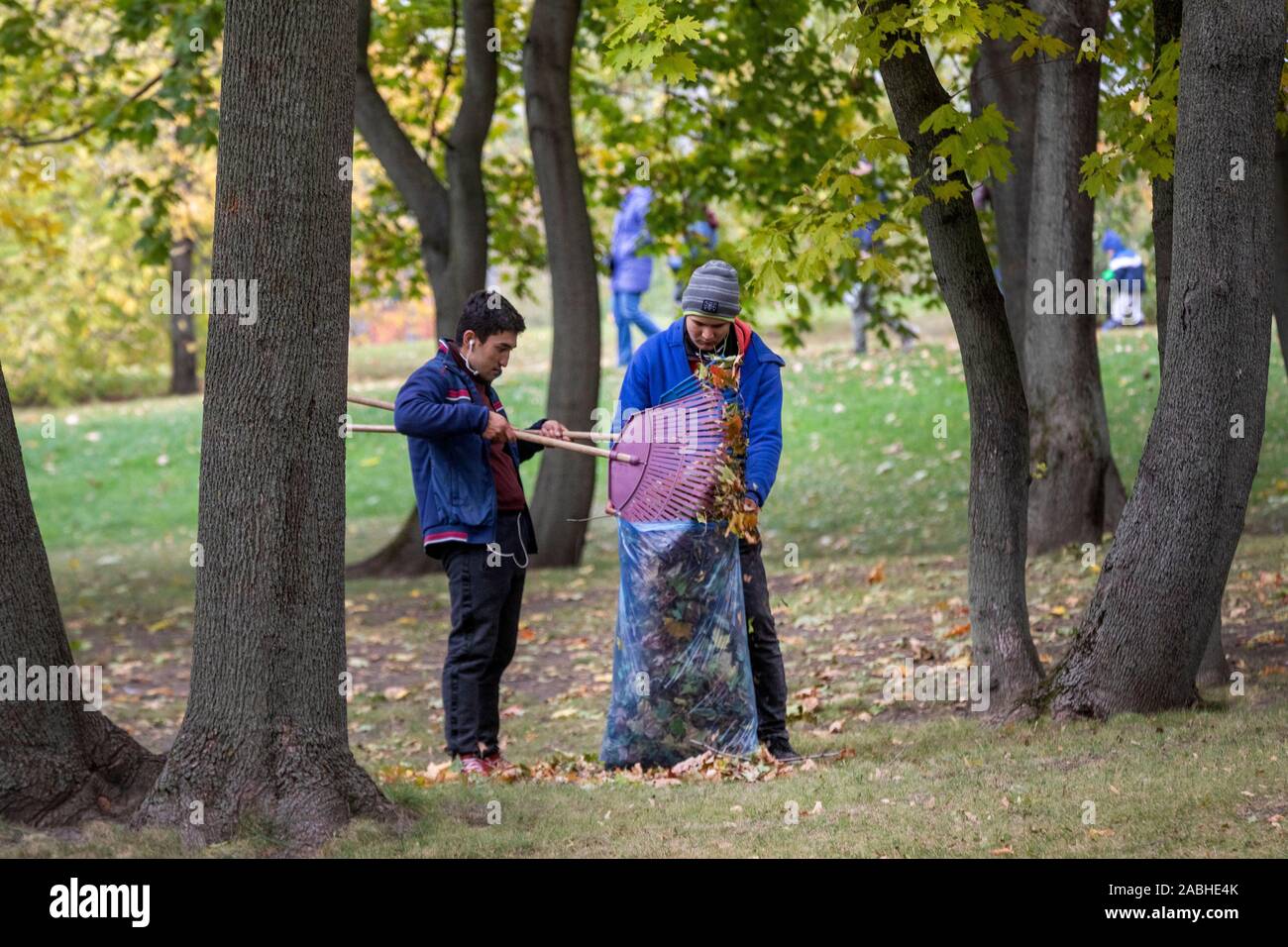 People collect fallen leaves in large plastic bags in Tsaritsyno Park ща Moscow city, Russia Stock Photo