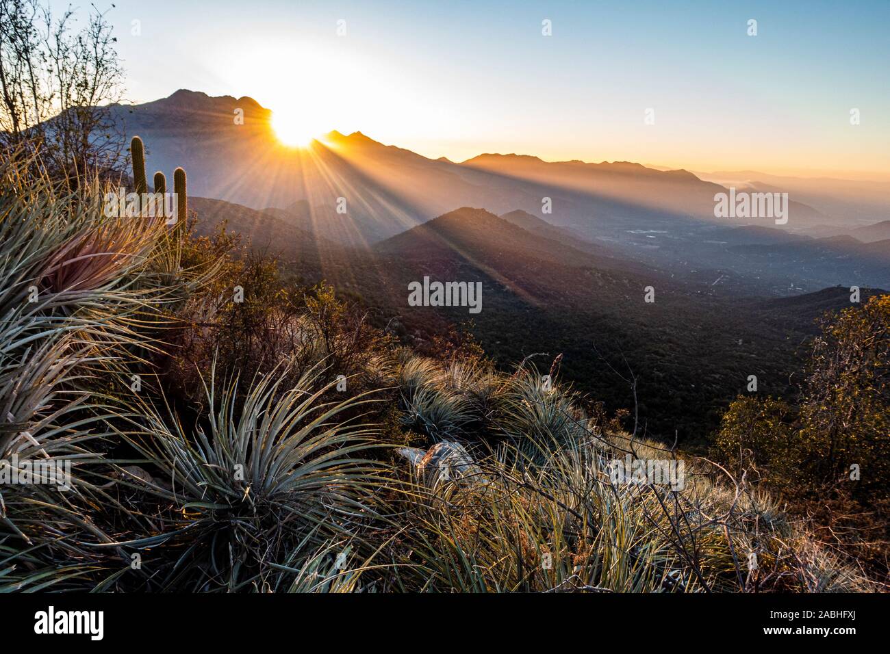 La Campana National Park Chile Hi res Stock Photography And Images Alamy La Campana National Park Chile Hi res Stock Photography And Images Alamy