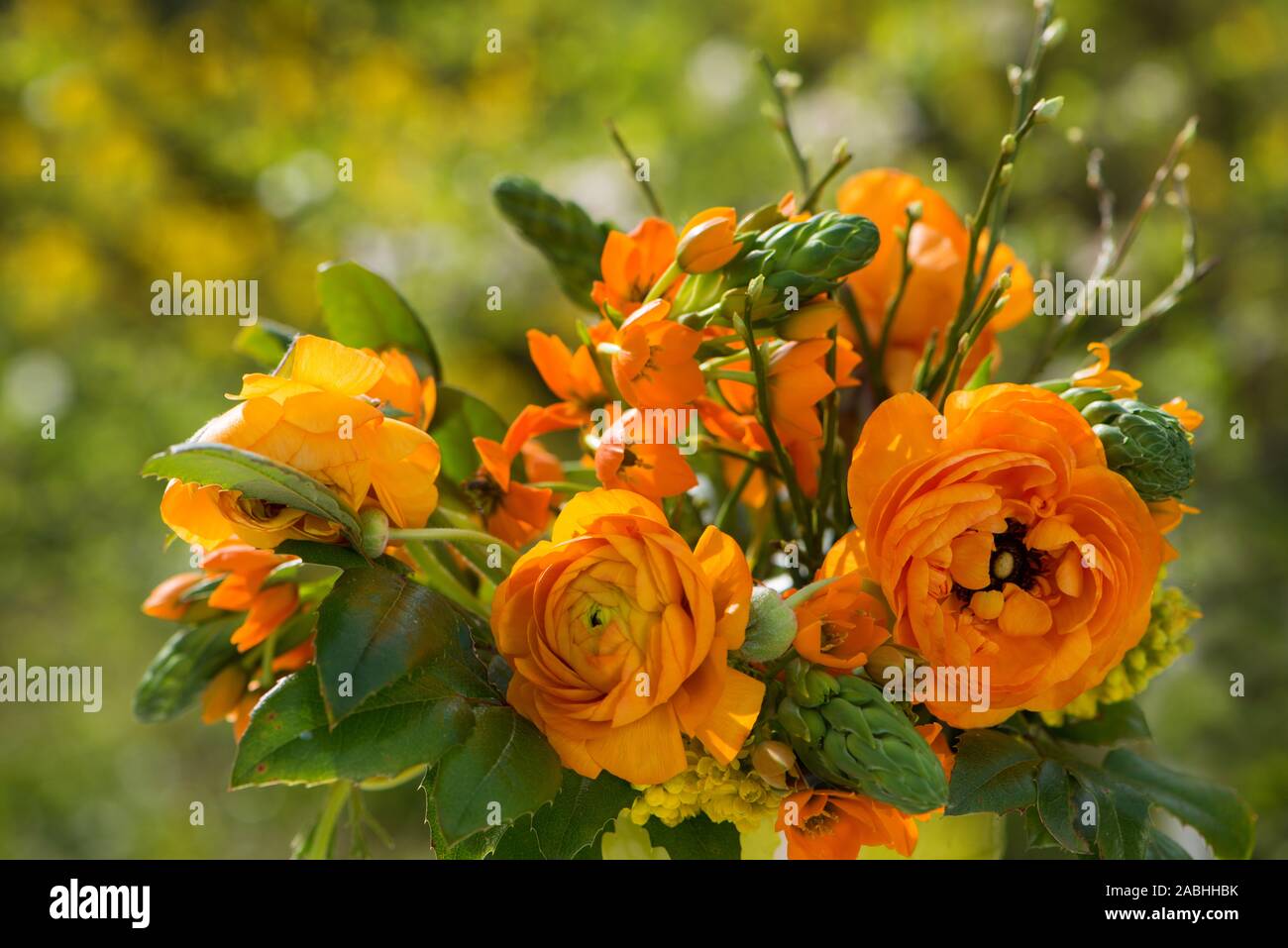 Ranunculus flower bouquet in a garden Stock Photo - Alamy
