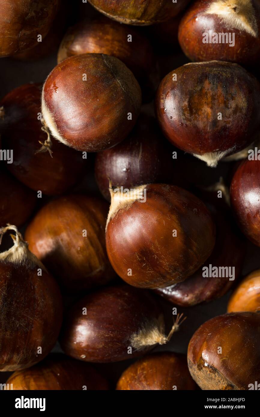 Chestnut Kernel Chest Nuts High Resolution Stock Photography and Images - Alamy