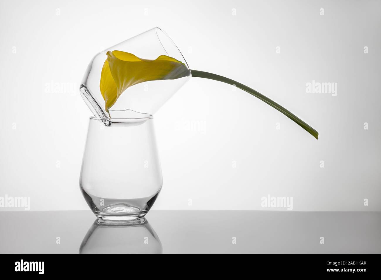 Two whisky glasses stand like a pyramid and a bright yellow calla bud inside one glass on a dark mirror surface and a white background, isolation Stock Photo