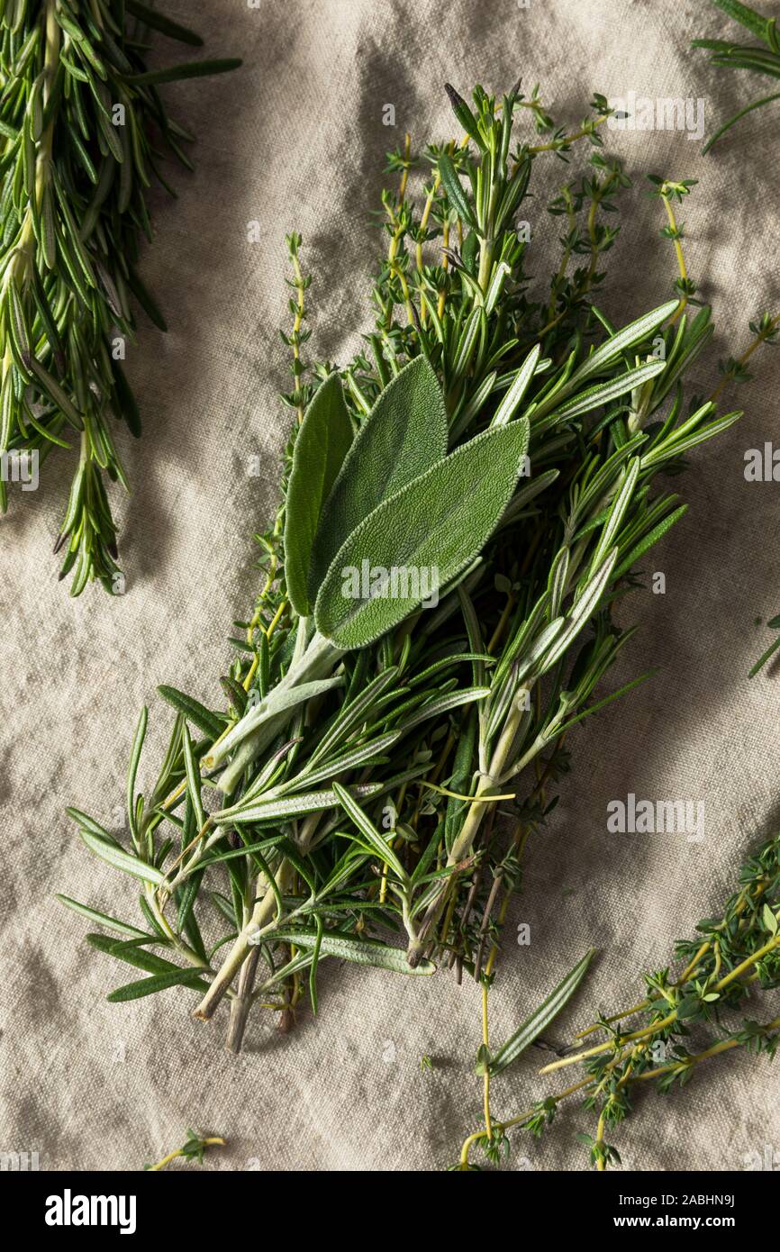 Raw Green Poultry Herbs with Rosemary Sage and Thyme Stock Photo