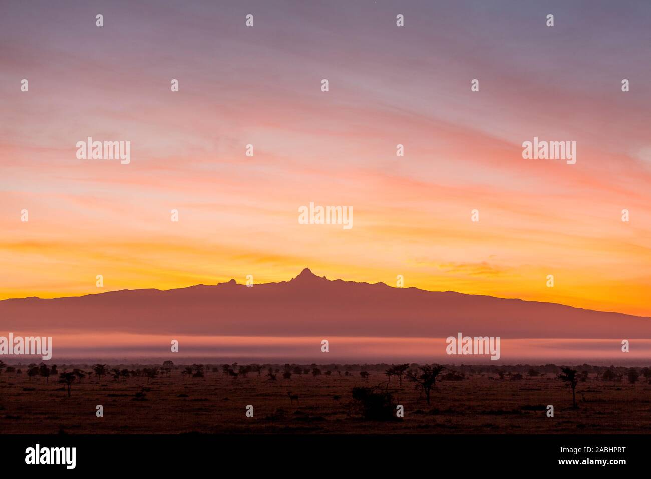Kenya mount kenya east region hi-res stock photography and images - Alamy