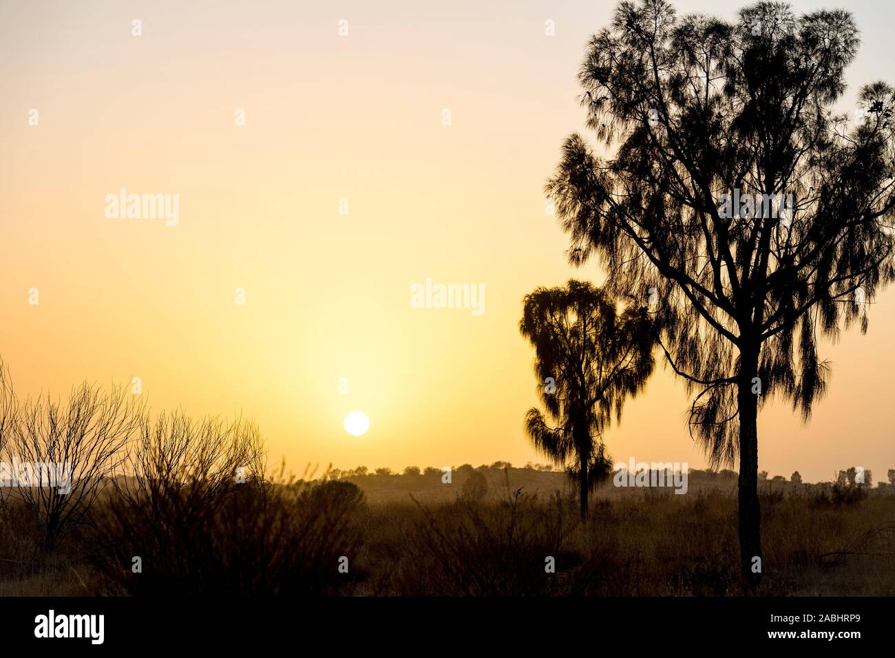 Desert dust storm sunrise. Northern Territory, Australia. Stock Photo
