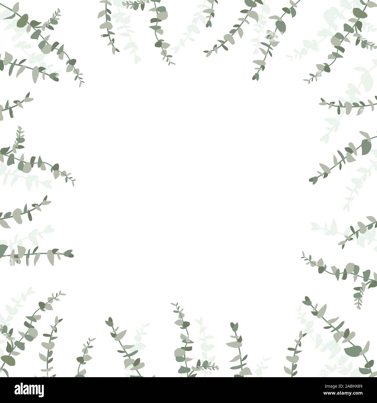 Eucalyptus leaf design background frame. Vector illustration template ...