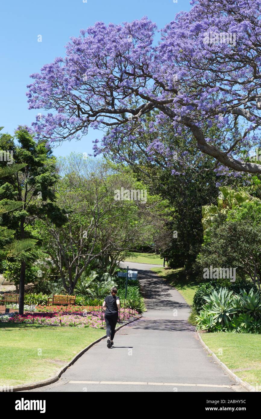 Royal Botanic Gardens Sydney Australia - people enjoying the spring sunshine in November, Sydney Australia Stock Photo