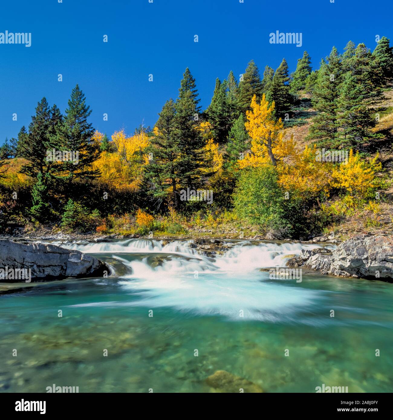 fall colors along badger creek below the rocky mountain front near