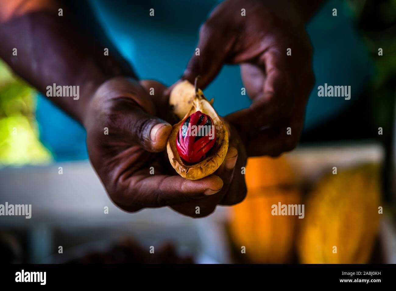 Lady in the Boat wearing a red Pettycoat - Nutmeg in Willis, Grenada Stock Photo