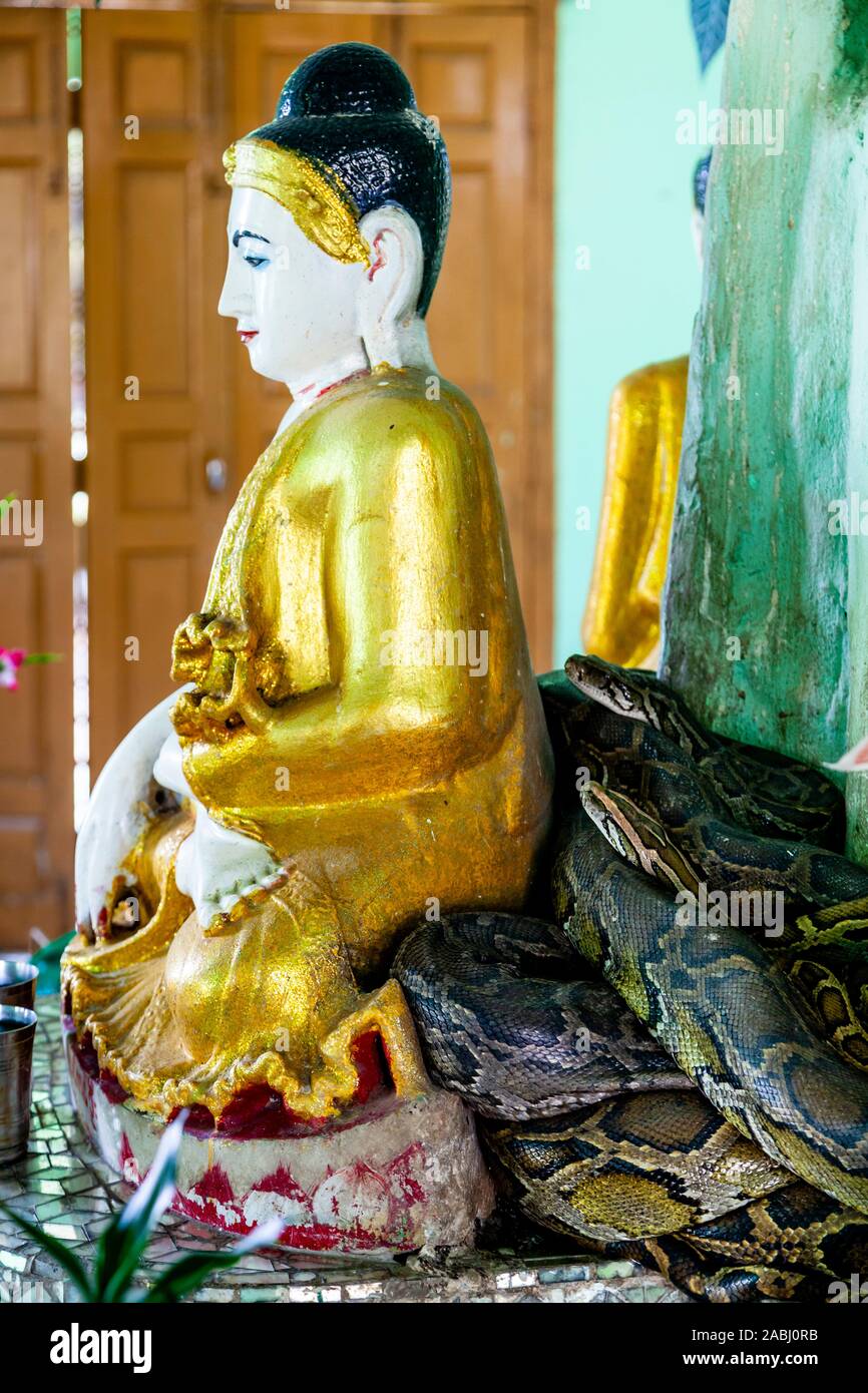 The Mwe Paya Snake Pagoda, Dalah, Near Yangon, Myanmar. Stock Photo