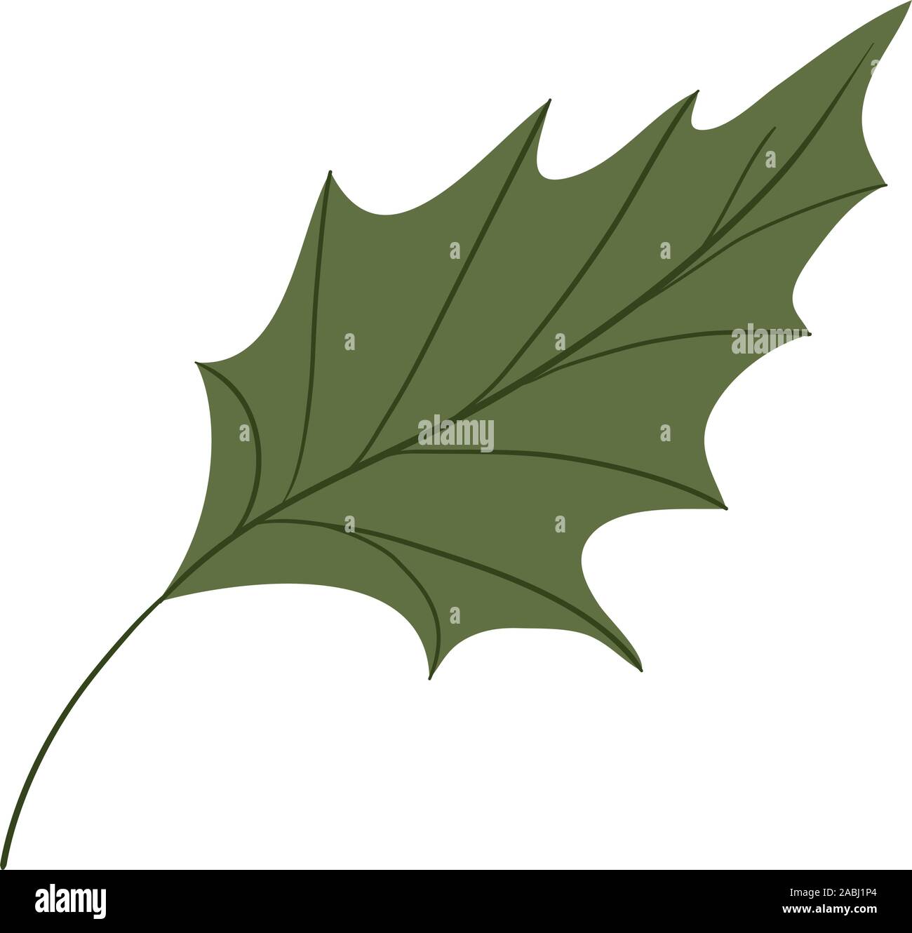 Isolated leaf icon vector design Stock Vector Image & Art - Alamy