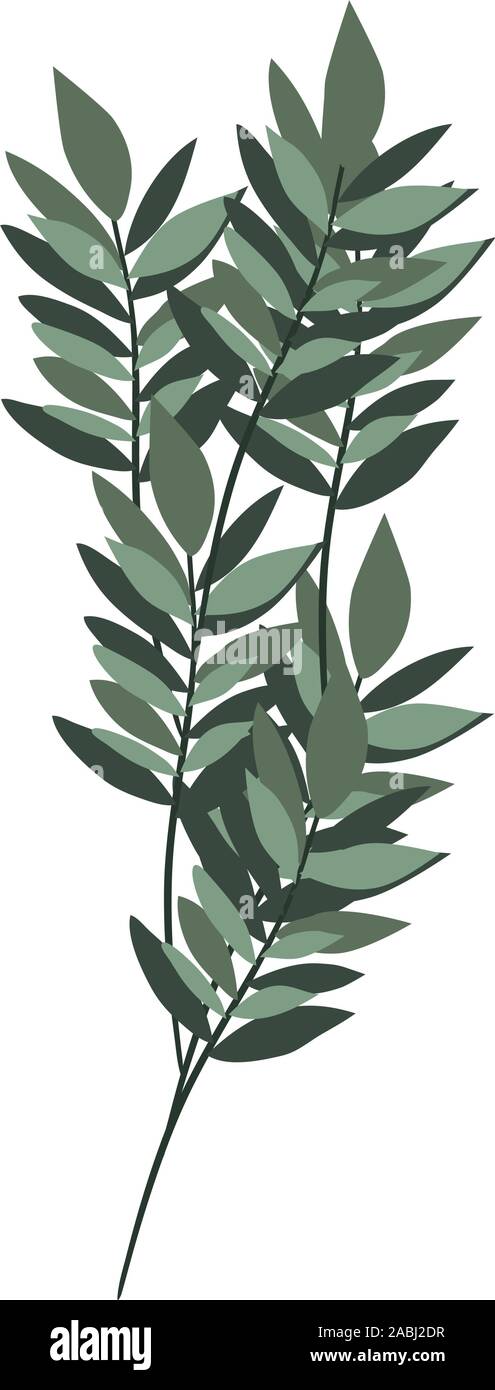 Isolated leaves icon vector design Stock Vector Image & Art - Alamy