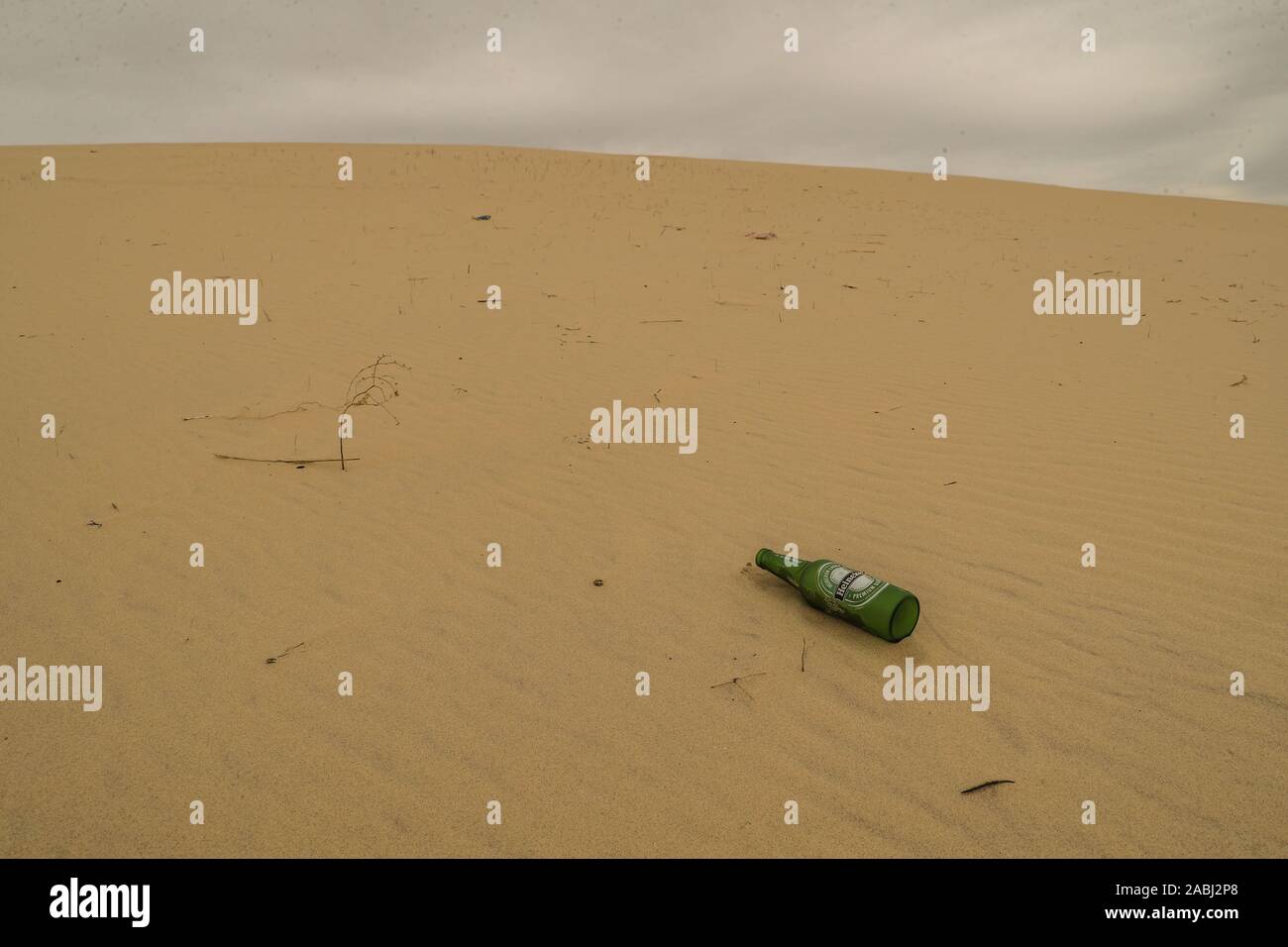 Beer Rings Polution glass bottle, Heineken Pilsener beer. green bottle pollution and ...