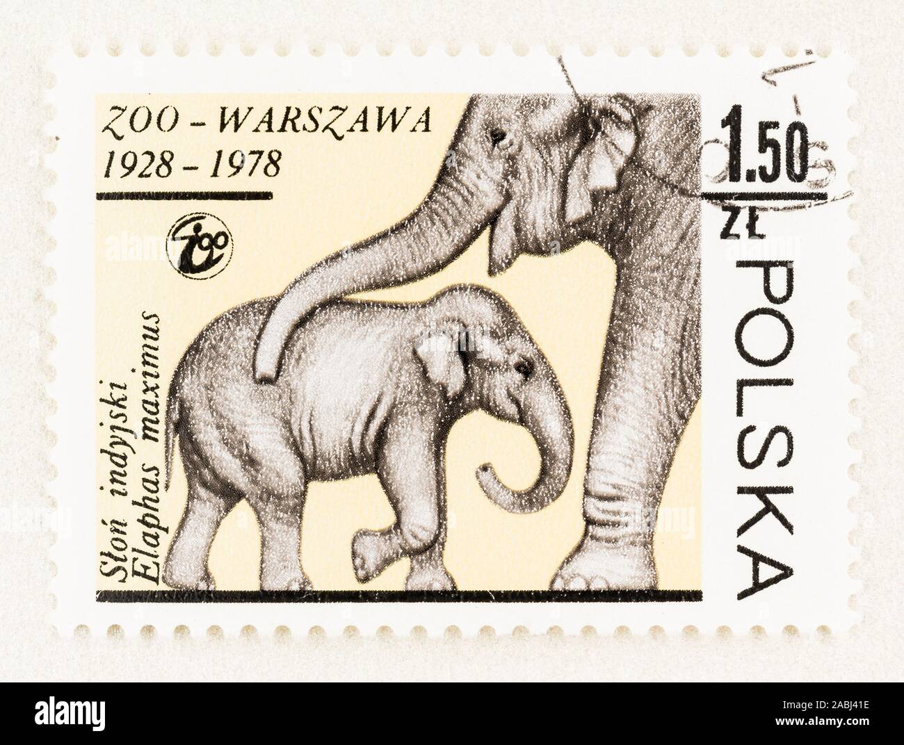 SEATTLE WASHINGTON - November 21, 2019: Polish postage stamp celebrating 50th anniversary of Warsaw zoo. Scott # 2303 issued in 1978. Stock Photo