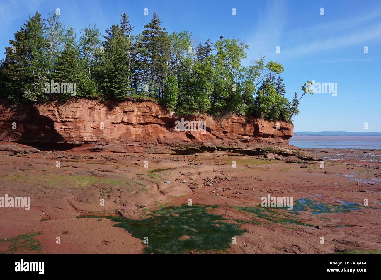 Bay of Fundy at low tide at Burntcoat Head Park in Nova Scotia Canada Stock Photo