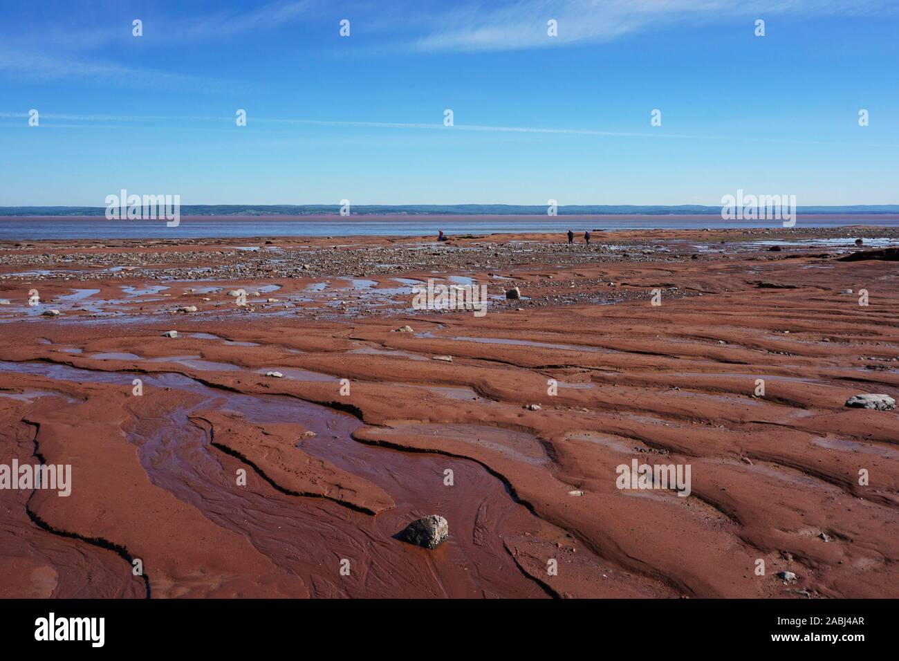 Ocean floor as seen at low tide in the Bay of Fundy Nova Scotia, Canada Stock Photo