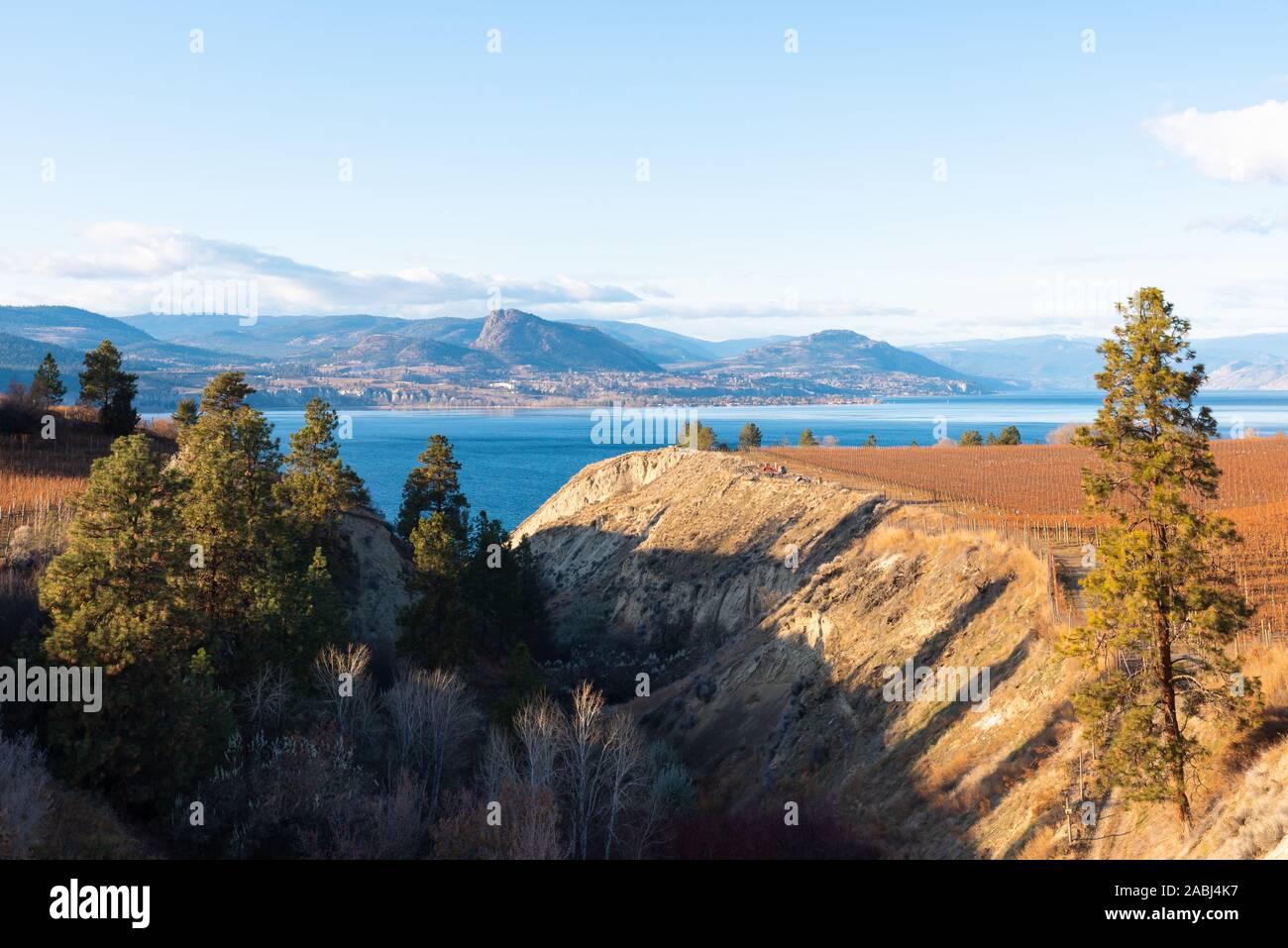 View from Kettle Valley Rail Trail trestle bridge of the Naramata Bench