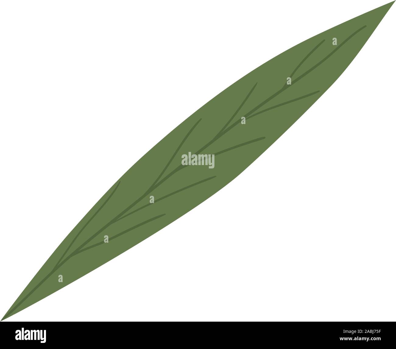 Isolated leaf icon vector design Stock Vector Image & Art - Alamy