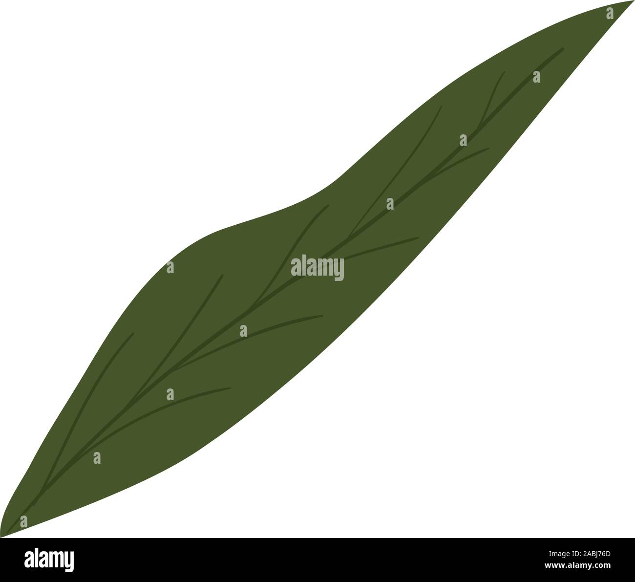 Isolated leaf icon vector design Stock Vector Image & Art - Alamy