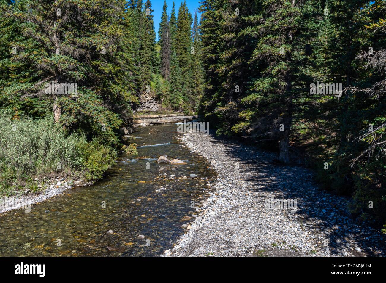 Beautiful flowing mountain stream along a rocky riverbed, lined with beautiful trees and rock walls. Stock Photo