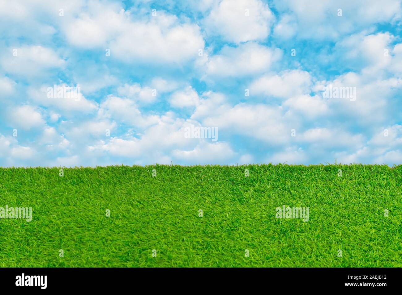 Green grass land field with blue sky cloud nature fresh background. Stock Photo