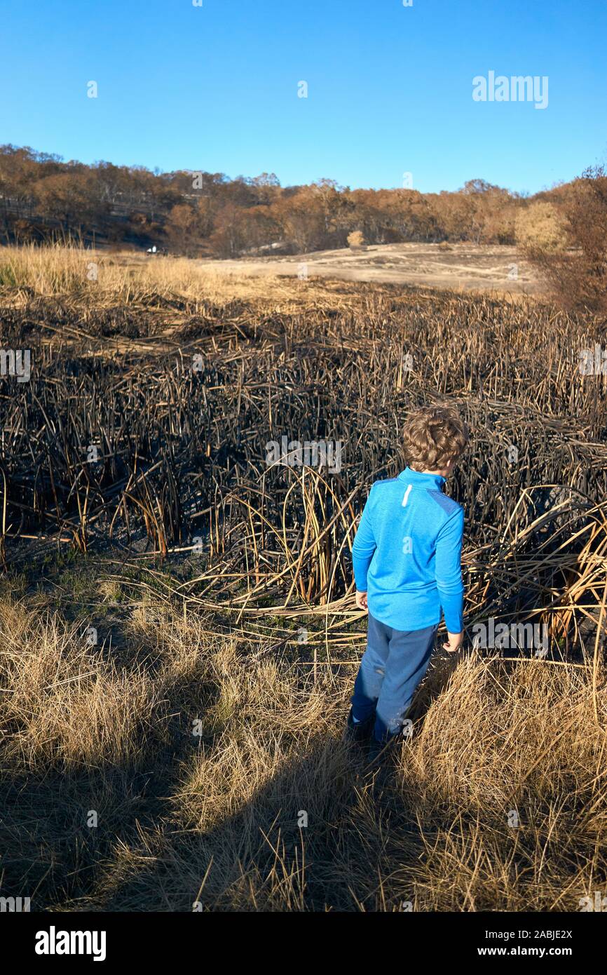 Young boy in blue sweater and pants being outdoors. Burned reeds, grass, and trees at Foothill Regional Park in Windsor, Sonoma County, California. Stock Photo