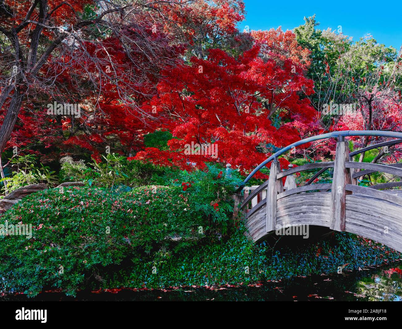 Japanese garden Bridge 121019 Stock Photo Alamy
