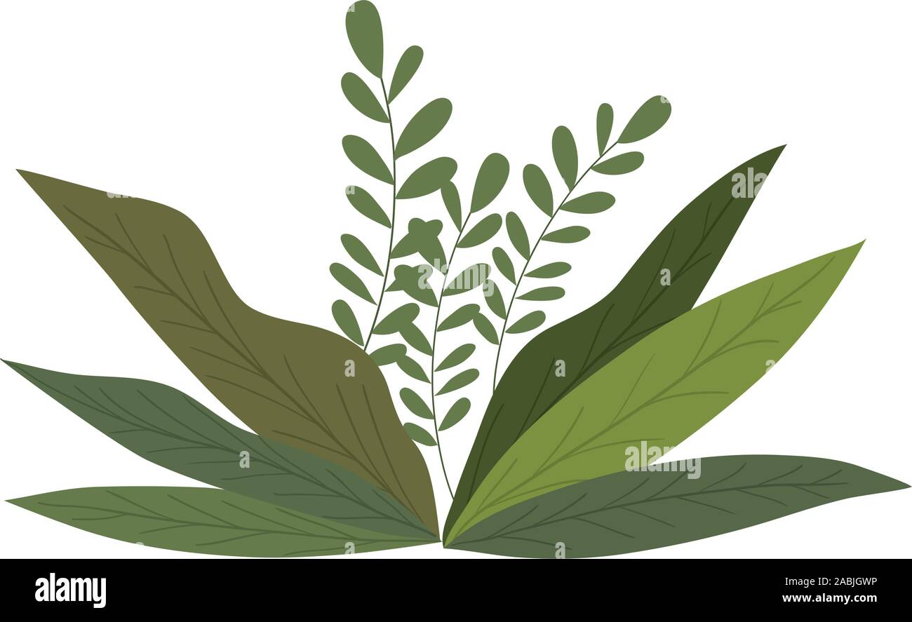 Isolated leaves icon vector design Stock Vector Image & Art - Alamy