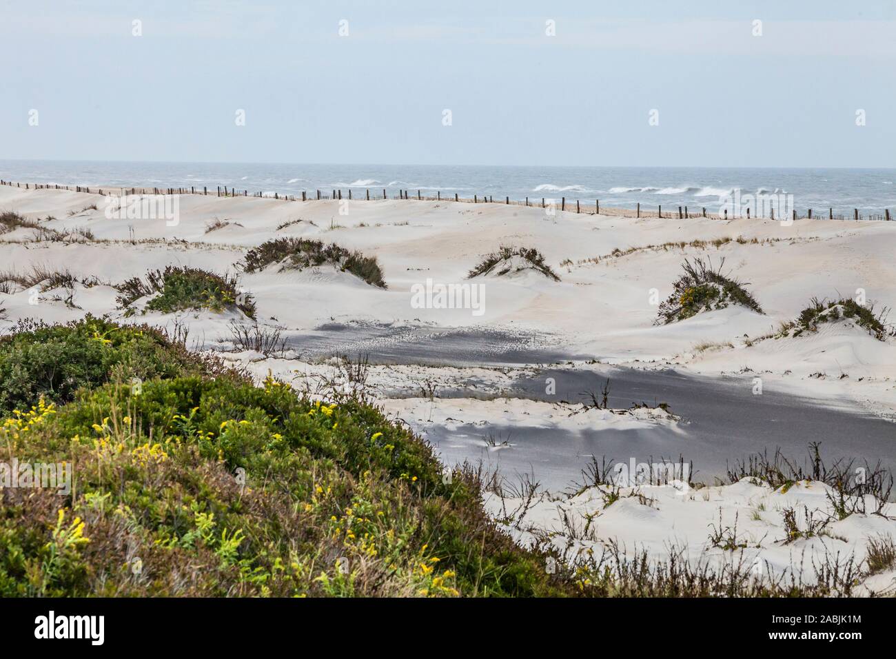 The Atlantic ocean along the beaches and sand dunes of Assateague Island National Seashore, Maryland, USA. Stock Photo