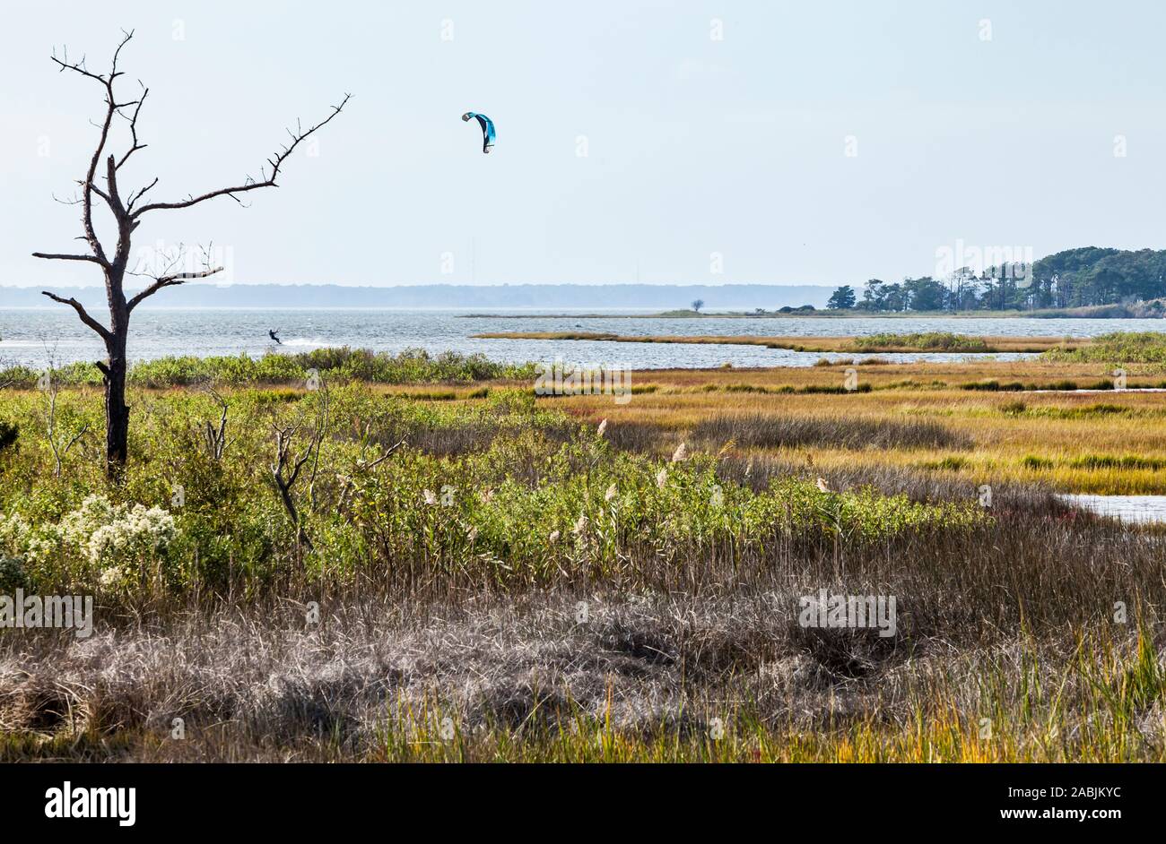 Kite boarding in Sinepuxent bay off Assateague Island National Seashore / Island, Maryland, USA Stock Photo