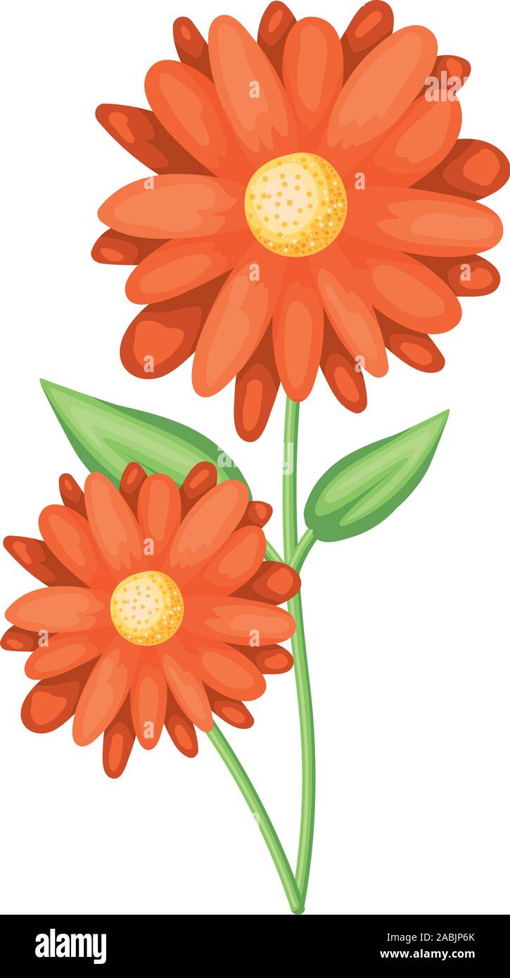 Isolated flower ornament vector design Stock Vector Image & Art - Alamy