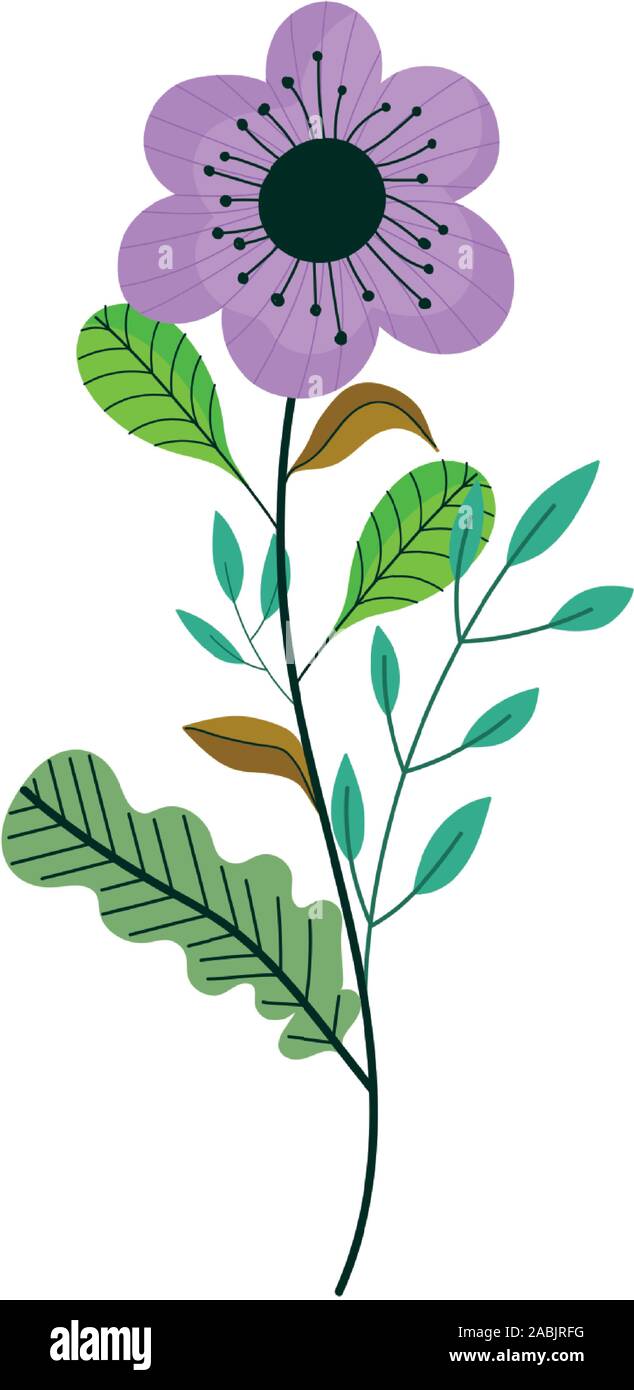 flowers stem leaves petals nature decoration icon vector illustration ...