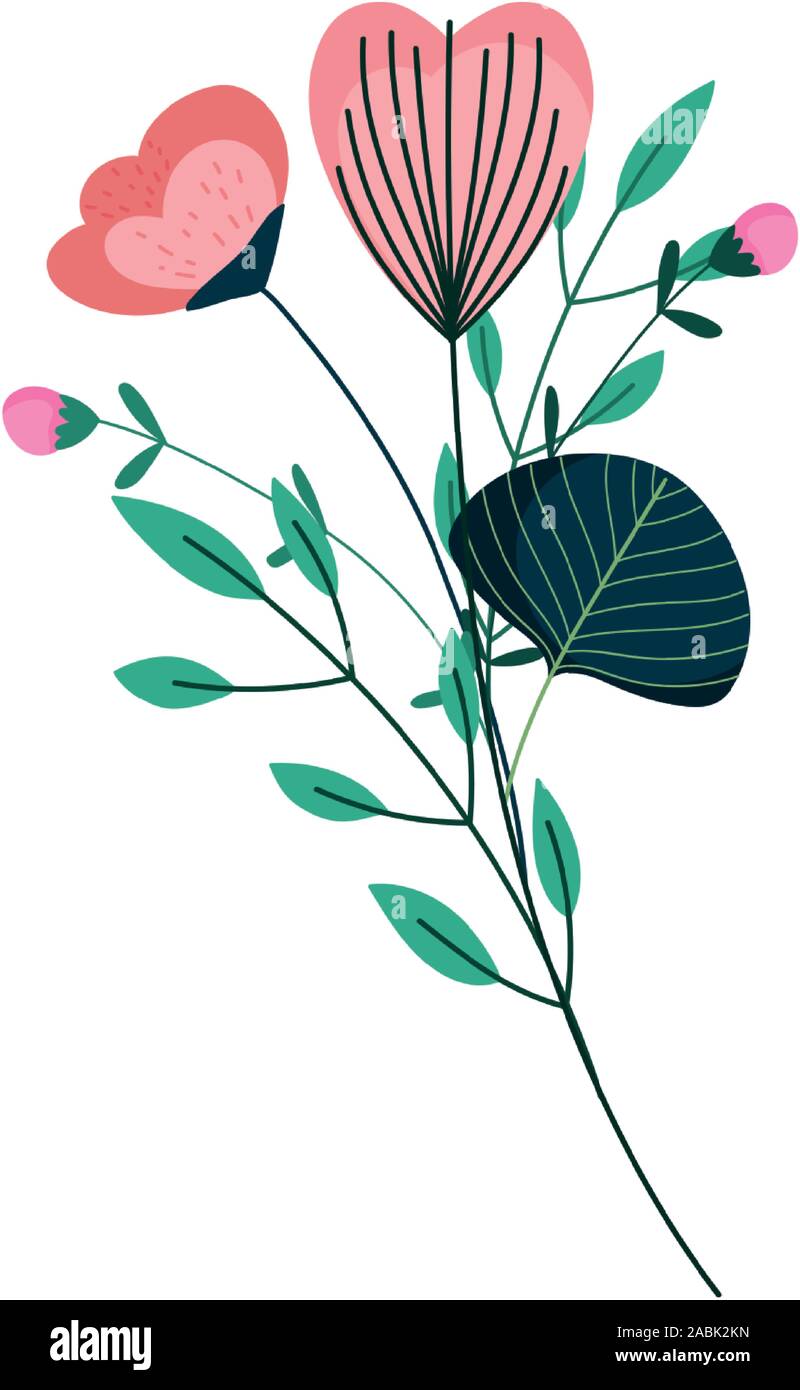 flowers stem leaves petals nature decoration icon vector illustration ...
