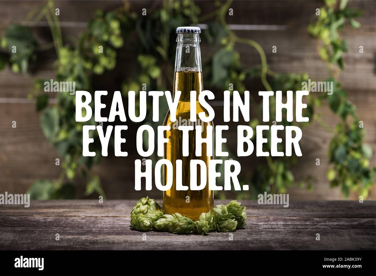 Beauty is in the eye of the beer holder hires stock photography and