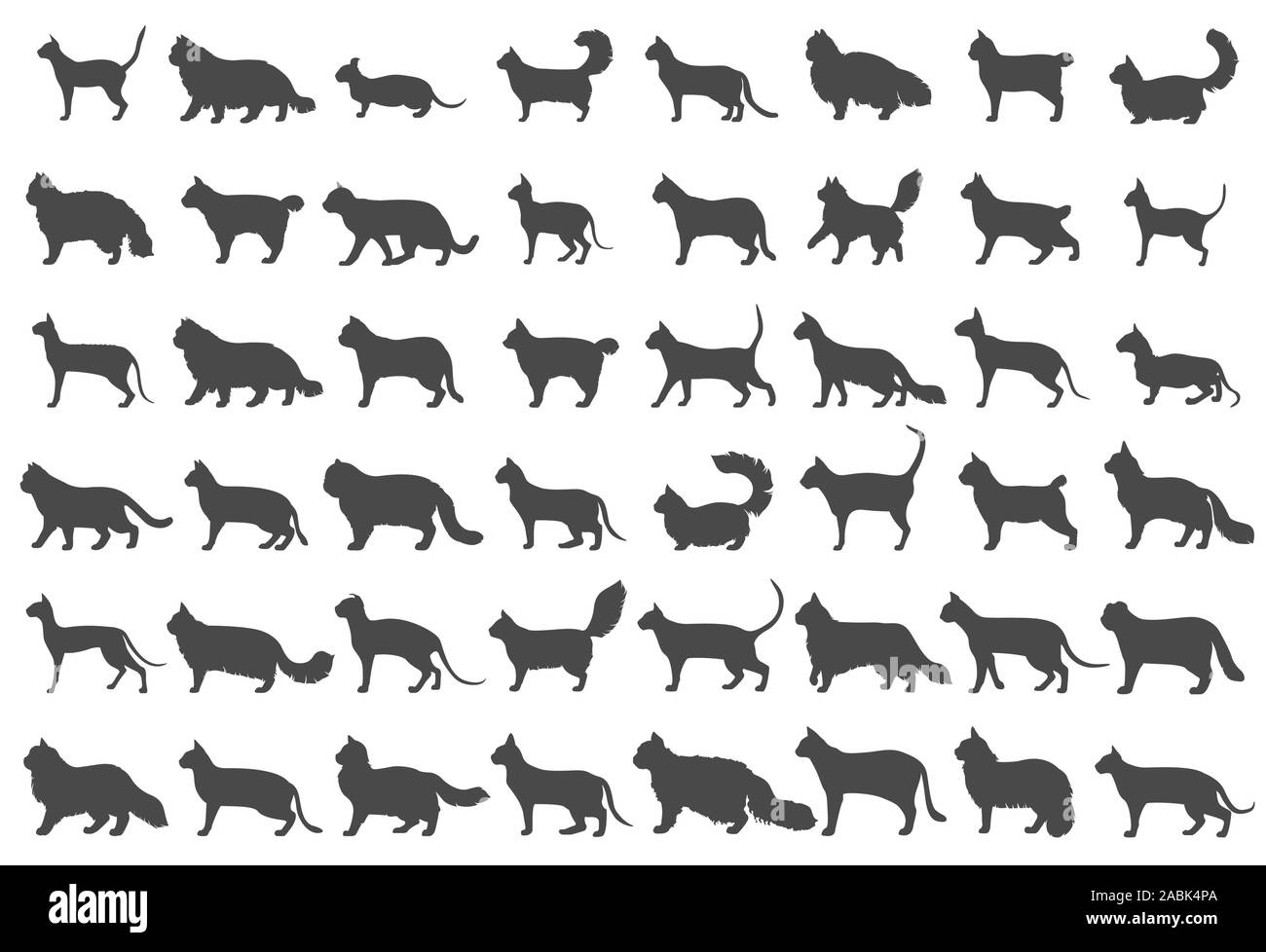 Cat breeds icon set flat style isolated on white. Cartoon silhouettes cats characters collection. Vector illustration Stock Vector
