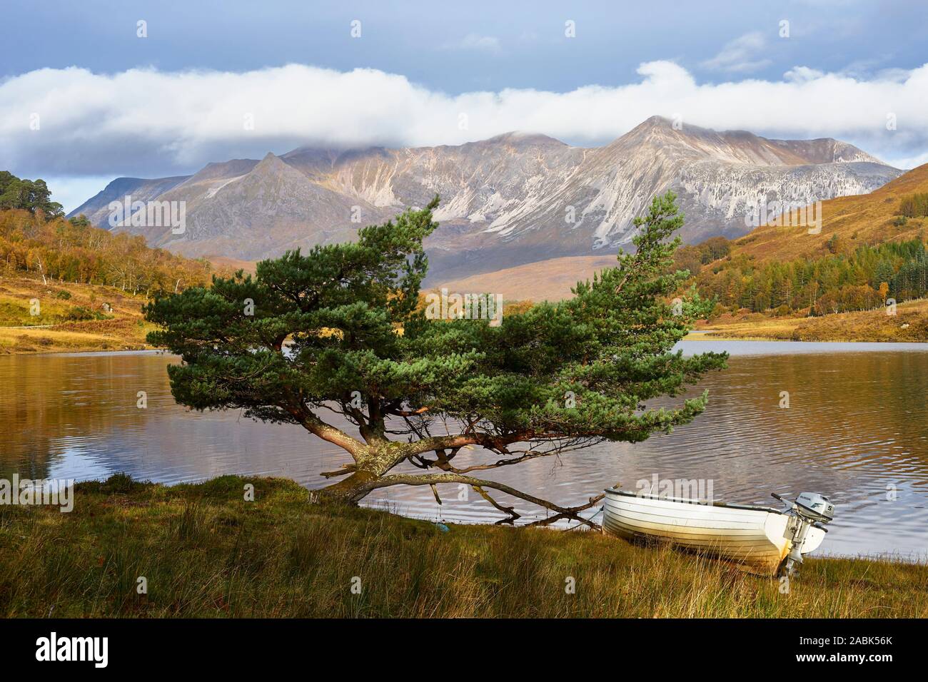 Small boat and Scots Pine Tree on the shore of Loch Coulin, Torridon, Wester Ross, Highland, Scotland.  View to Beinn Eighe. Stock Photo