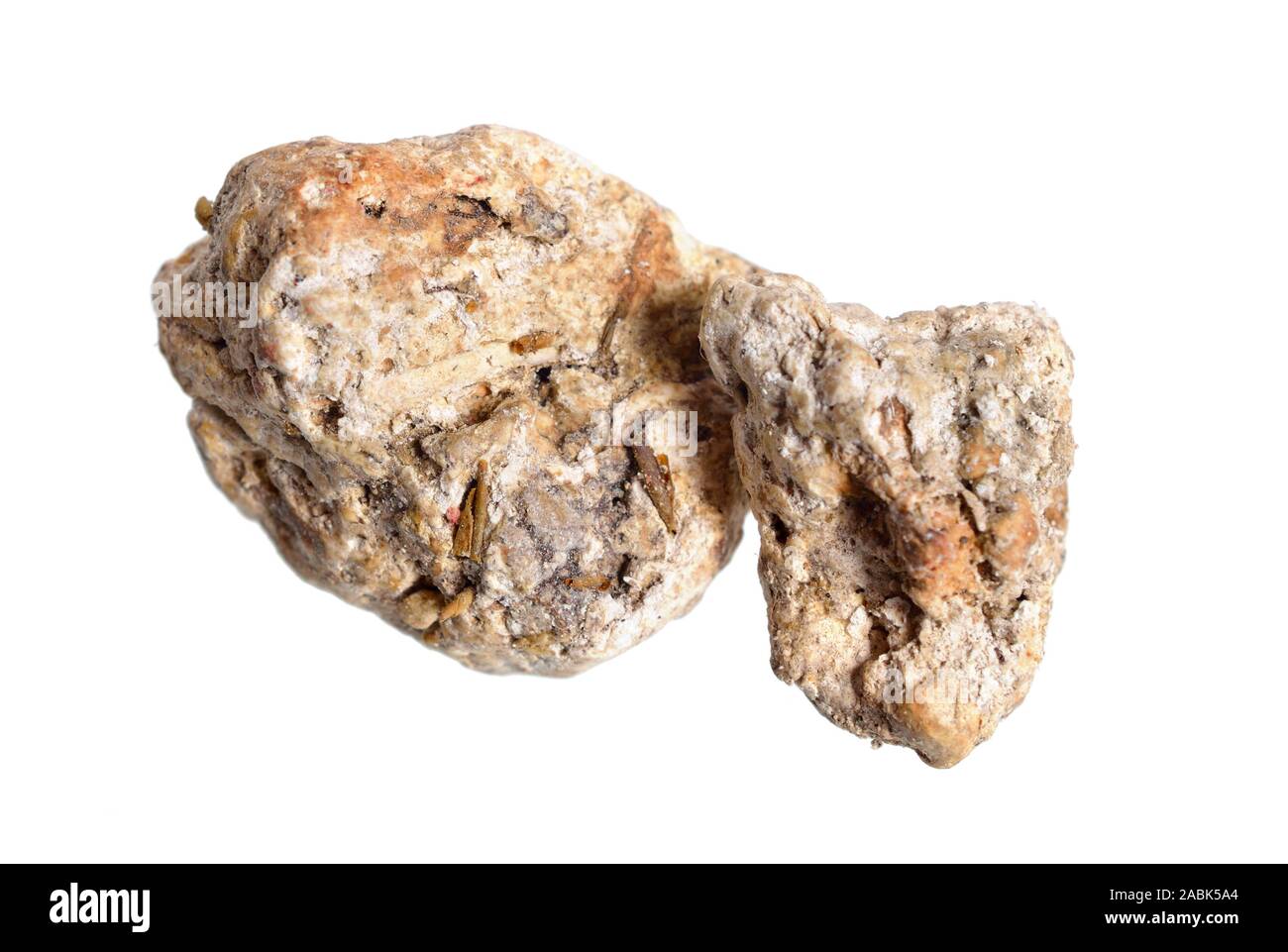 Ambergris, ambre gris, ambergrease or grey amber. Isolated on white background Stock Photo
