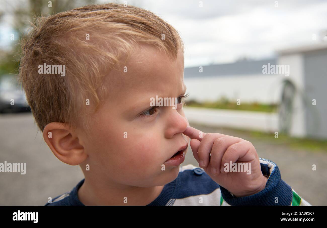 a baby boy is picking her nose with finger inside Stock Photo