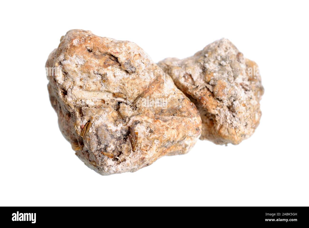 Ambergris, ambre gris, ambergrease or grey amber. Isolated on white background Stock Photo