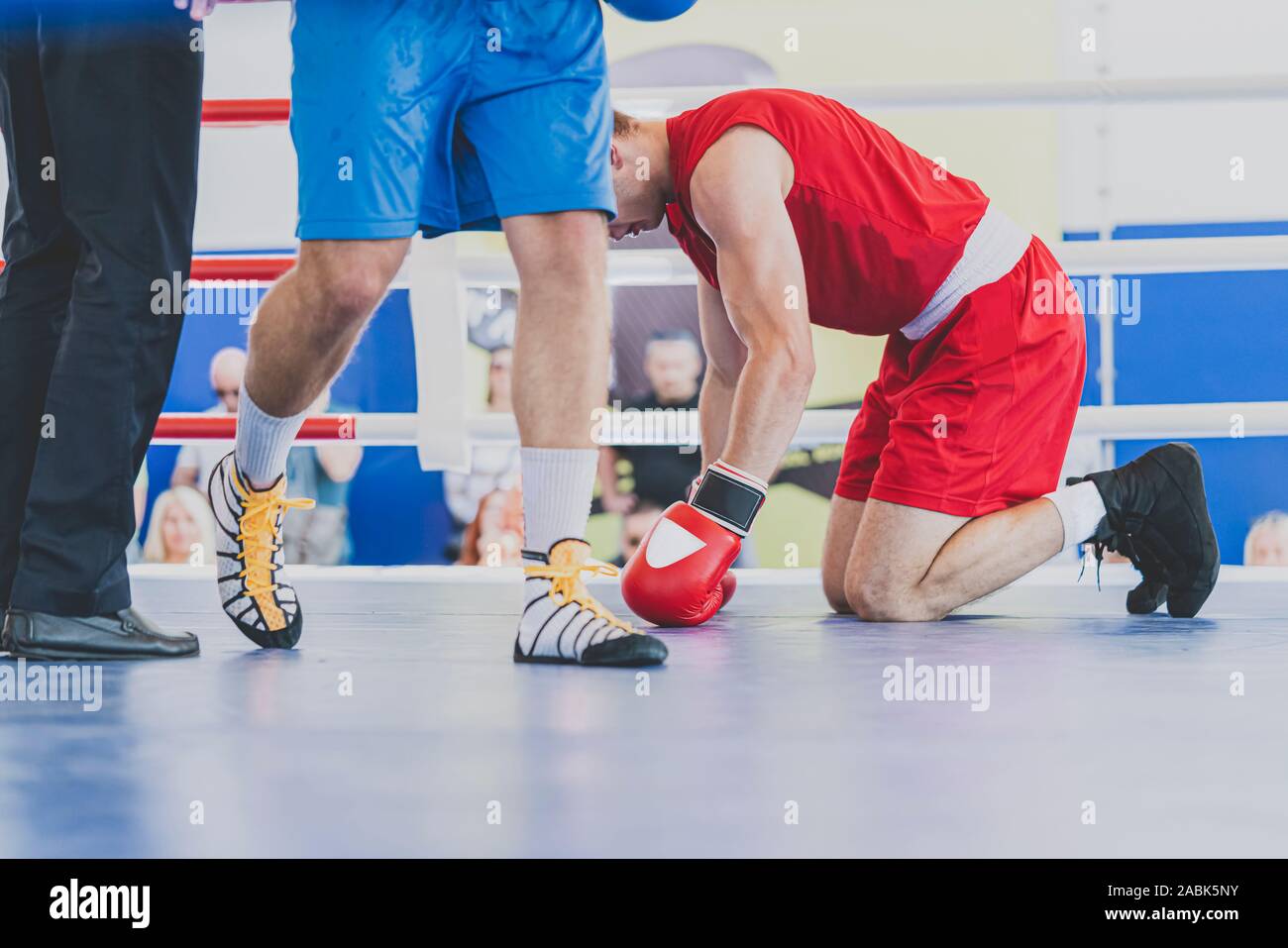 Two boxers in the boxing ring. Knockout and taste defeat. Boxer kneeling with his head bowed. Horizontal image. Stock Photo