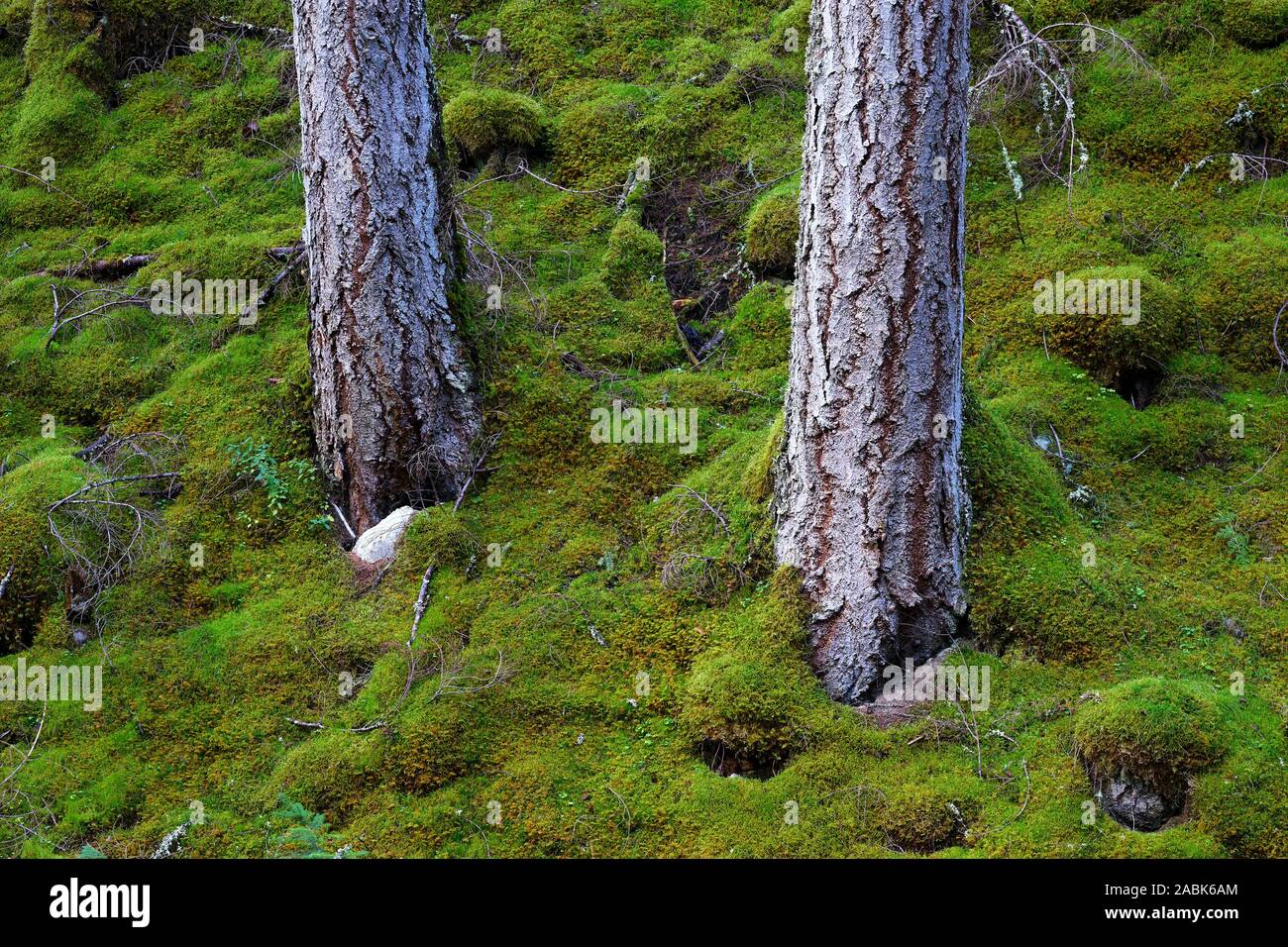 Strathglass hires stock photography and images Alamy