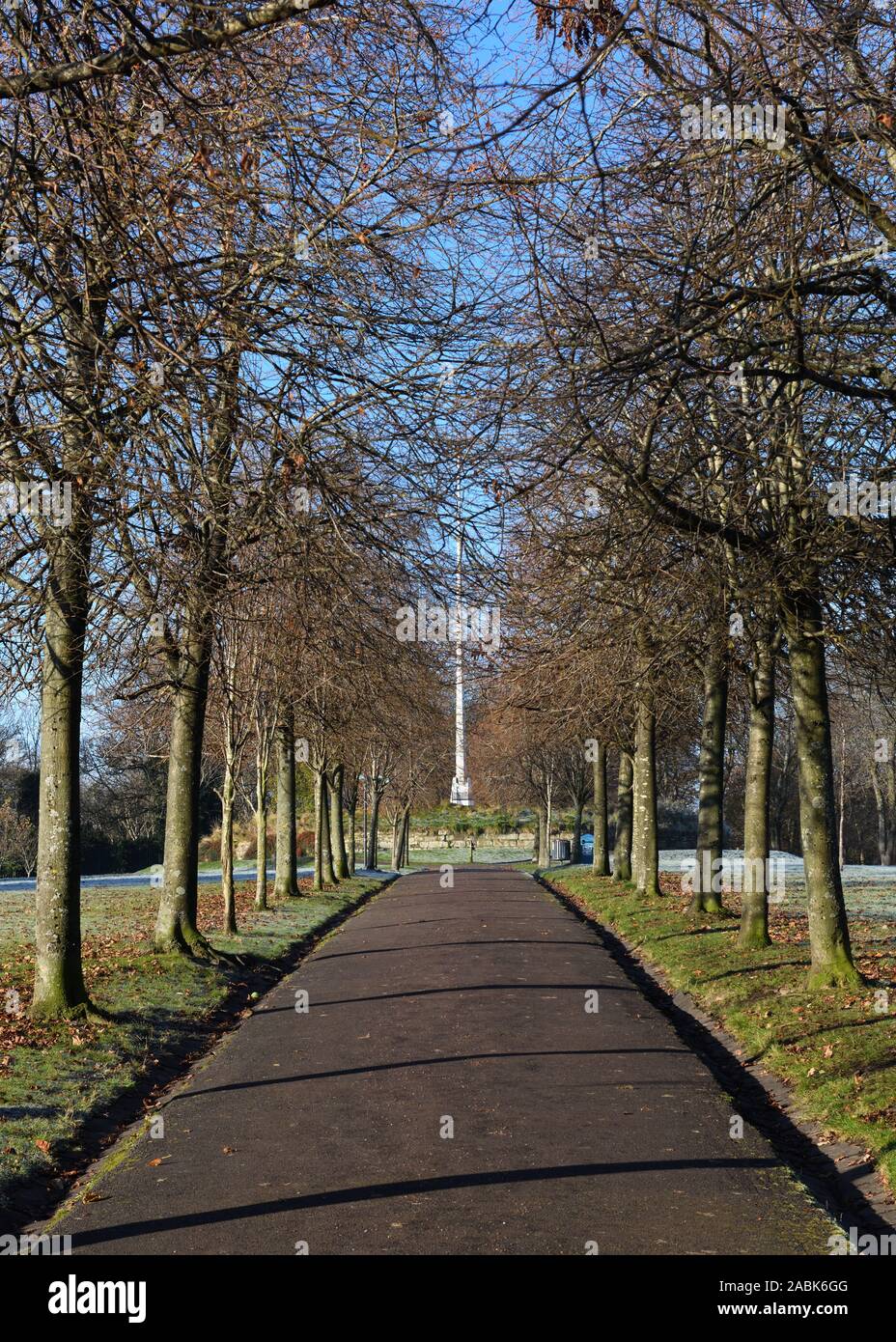 Tree lined path leading to the flagpole on the hill at Queens Park