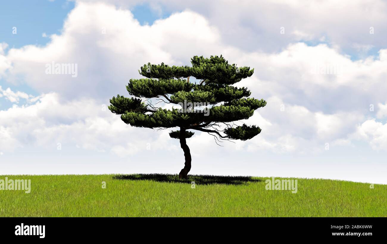 One Tree At Sky Background 3D Rendering Stock Photo - Alamy