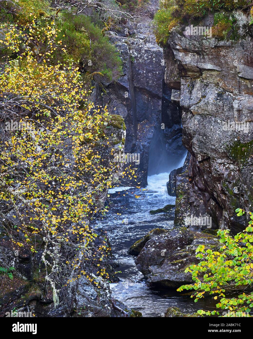 Dog Falls, Glen Affric, Inverness, Highland, Scotland Stock Photo