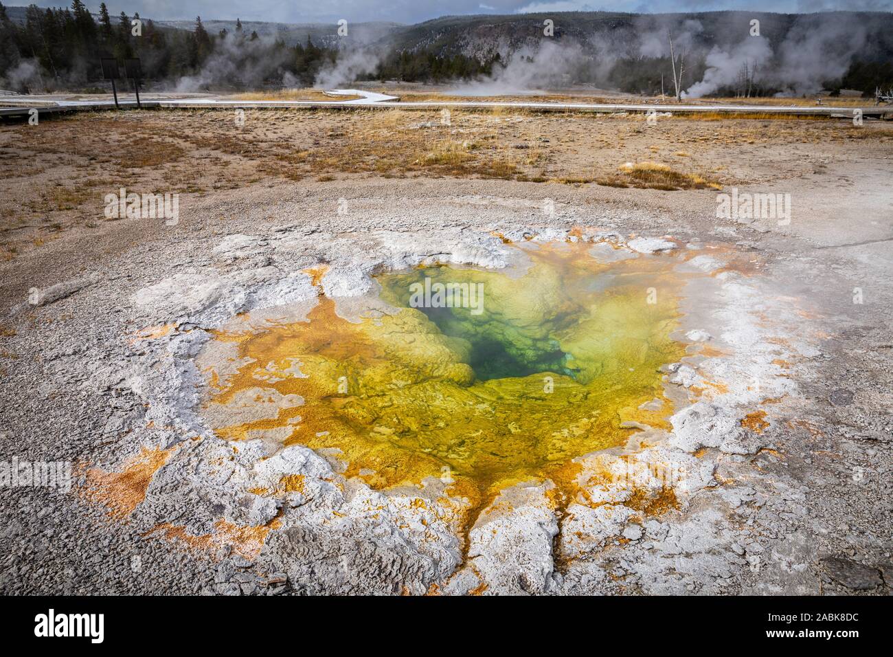Green and yellow geyser basin with boiling water from geothermal heat, Yellostone National Park, Wyoming, USA. Colors of basin depending on temperatur Stock Photo