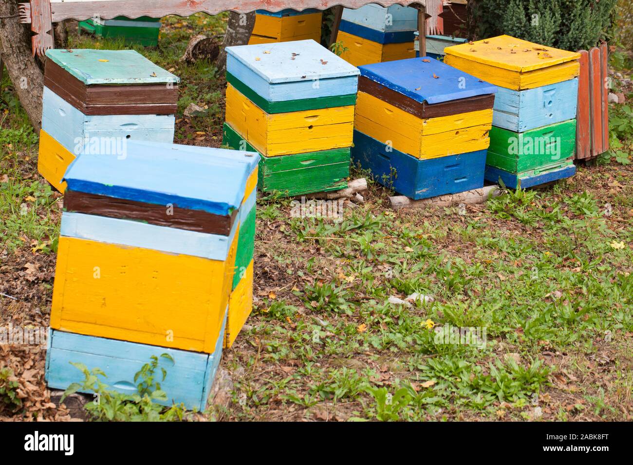 Hives in an apiary. Apiculture Stock Photo