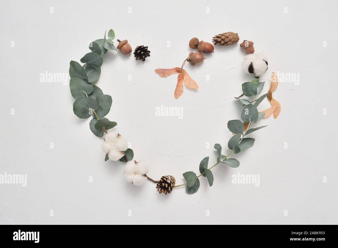 Eucalyptus leaves heart frame love on white background with cones, acorn and place for your text. Autumn wreath made of leaf branches. Flat lay, top Stock Photo