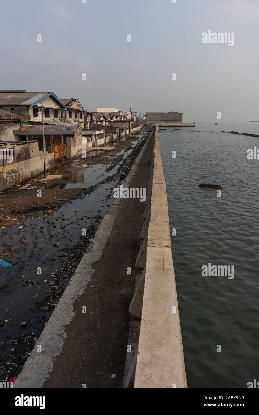 Perineum Stock Photos & Perineum Stock Images - Alamy