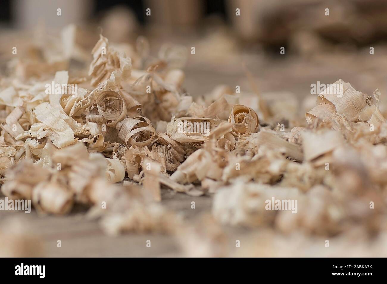 Poplar wood shaving laying on the floor design studio. Blurry background. Vintage