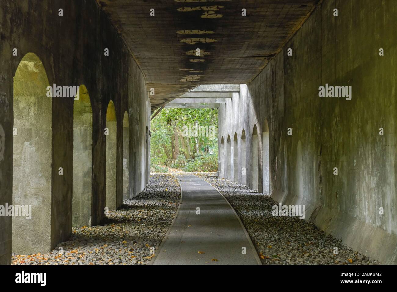 Tunnelweg, Naturpark Schöneberger Südgelände, Prellerweg, Schöneberg, Berlin, Deutschland Stock Photo